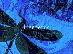 Dark Lantern Presents The Dragonfly Freddie in Vintage Fucking