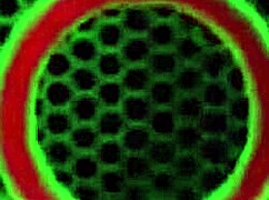 julia ann, how do you fill both holes so bad with those toys?