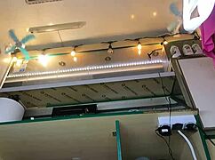 damn this 18yo bitch's upskirt pussy flashes no bra no panties at the festival 😈🔥