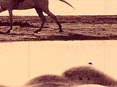 Vintage Beauty Takes Beast's Huge Cock Doggystyle Outdoors!