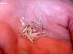 brunette girlfriend demands foot worship with dirty talk and toe clippings