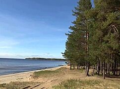 Blonde Milf Struts In Fishnet Bodystocking Showing Off Legs And Curves