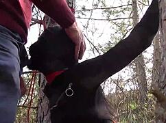 Outdoor Milf Bound Blown And Creampied Hard!